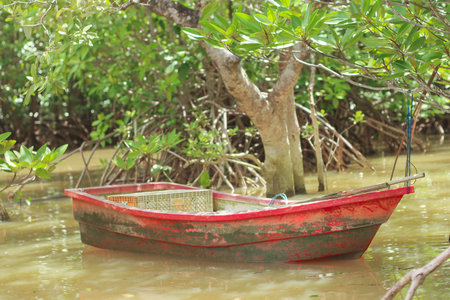 Red Plastic Boat with Fishing Basket in Mangrove Forest