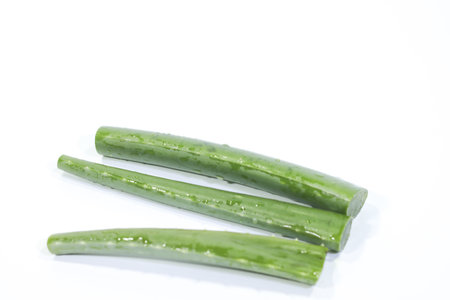 Aloe Vera Leaves on a White Backgroundの写真素材