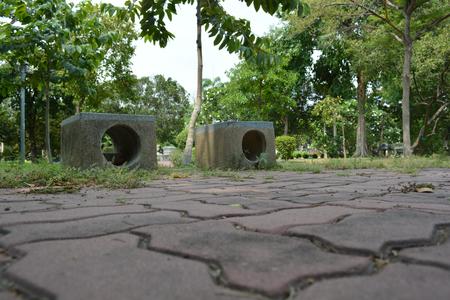Bench in the park