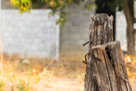 The wooden posts made a fence in the garden where nails were nailed and were long-lived.の写真素材