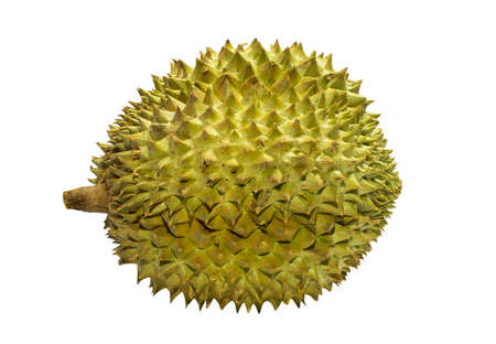 Durian, the most popular fruit king in Thailand, is very popular. It smells bad, but it tastes sweet.の写真素材
