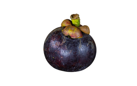 Ripe mangosteen tastes sweet and succulent. Purple effect placed on a white background. Clipping path.の写真素材