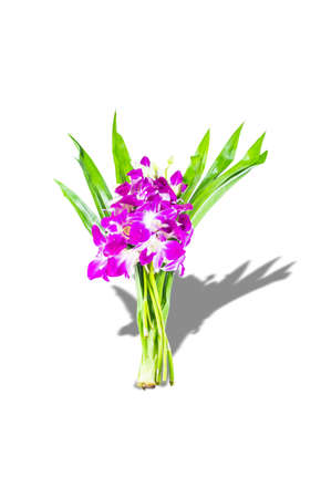 Bouquets of purple orchids are arranged for home decorations or for worship.  Clipping path.の写真素材