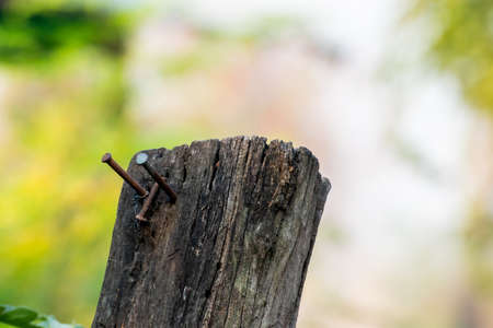 Old wooden poles in the park. Been exposed to the sun for many years until decay.の写真素材