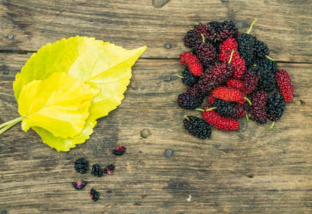 Mulberry sited on the old wooden floor.の写真素材