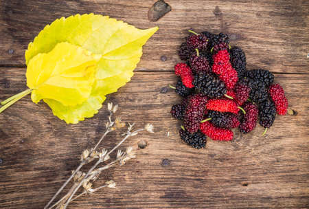 Mulberry sited on the old wooden floor.の写真素材