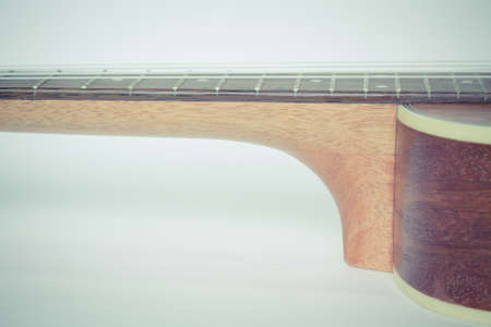 ukuleleの写真素材