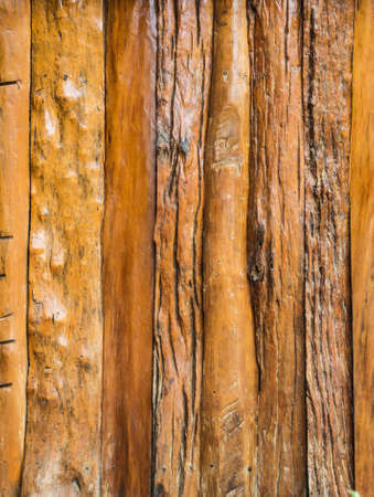 wood backgrondの写真素材