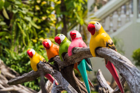 Parrot stuccoの写真素材