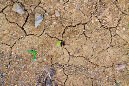 ground barren background.の写真素材