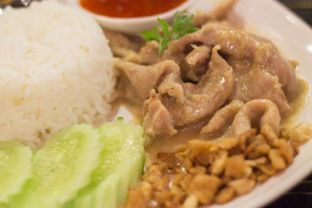Pork with Riceの写真素材