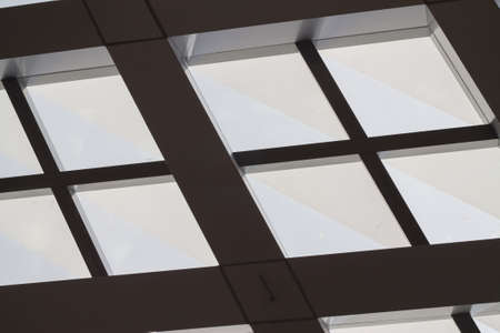Skeletal backgroundの写真素材