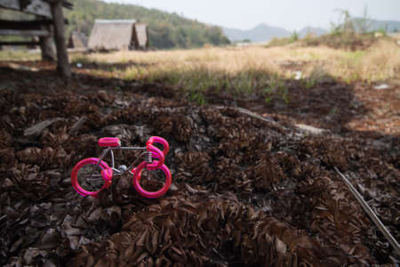 Pink Keychain bicyclesの写真素材
