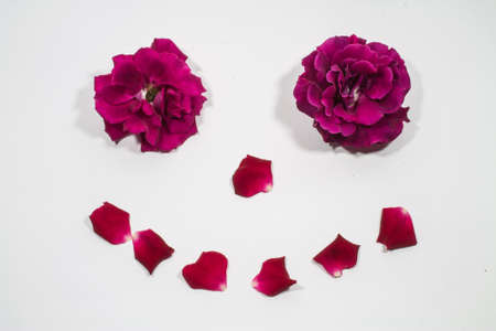rose