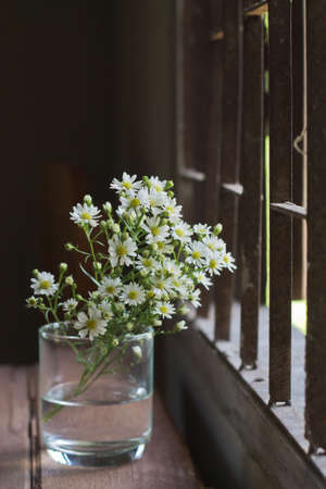 White flowers in a glass table.の写真素材