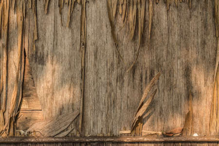 wood backgroundの写真素材