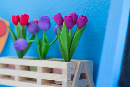 Tulip flower blue backgroundの写真素材