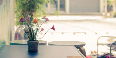 Flowers in pots on the tableの写真素材