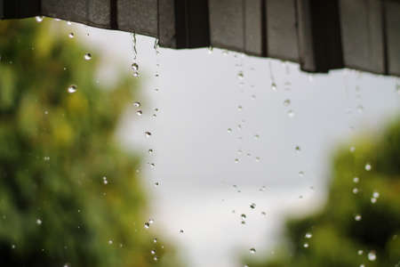 it's rainingの写真素材