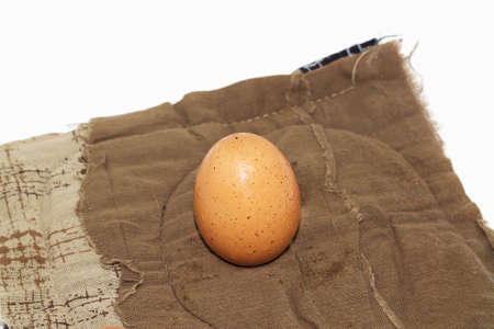 egg