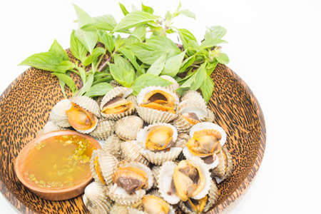 Scallop isolated white backgroundの写真素材
