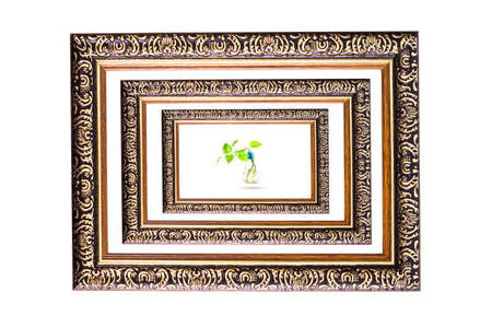 wooden photo frame and tree Concept of global warming tree bulbs in isolated white background.の写真素材