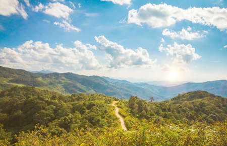 The BUA Tong Mae Hong Son on sunset light Thailandの写真素材