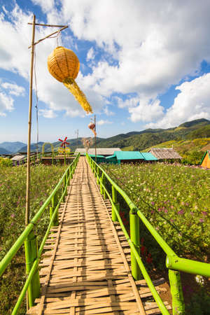 lamp and nature backgroundの写真素材