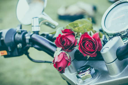 rose red rose placed on a motorcycle.の写真素材
