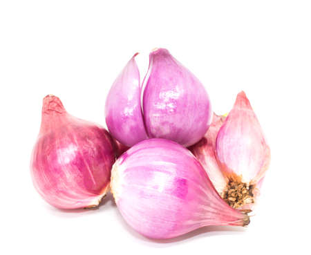 Red onion on white background.の写真素材