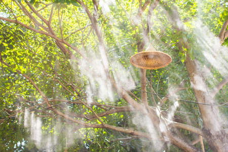 Motion blur and background light bulbの写真素材