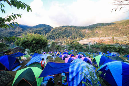Tourist camping in the mountain Doi  SureYa,Doi Inthanon, ChiangMai,of Thailand - foggy in a morningの写真素材
