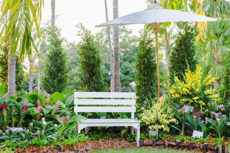 White wood bench Decorate the garden with flowers and trees or natural outdoor background.の写真素材