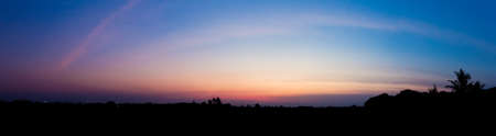 Silhouette blue twilight Scenery and the natural sunset of trees in the evening.の写真素材