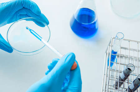 Top view. Medical or science medical in laboratory room research performs tests with liquid,...