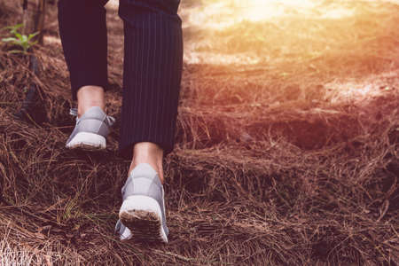 Women in Casual Shoes Gray feet ,walking traveler on forest trail the sunset background. Holidays...