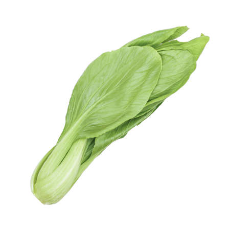 Bok choy vegetable isolated white backgroundの写真素材