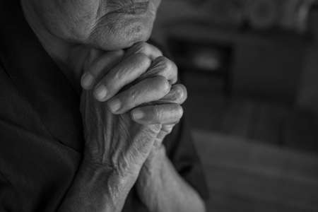 Praying hands of  Buddhism. Elderly woman god for  religion, belief, Holding hand in pray and thank buddhaの写真素材