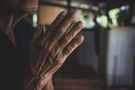 Praying hands of  Buddhism. Elderly woman god for  religion, belief, Holding hand in pray and thank buddhaの写真素材