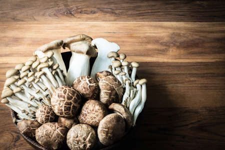 Set Mushroom in the bowl for food cooking on wooden table. copy space for your textの写真素材