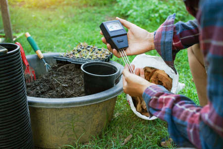 To measure soil pH, gardeners are using a monitor to measure pH balance, acidity, and alkalinity,...