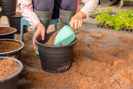 People gardening. Man planting gardens vegetables, Soil preparation agriculture gardener hobby plants at home and outdoor. plants in pots working. farmの写真素材