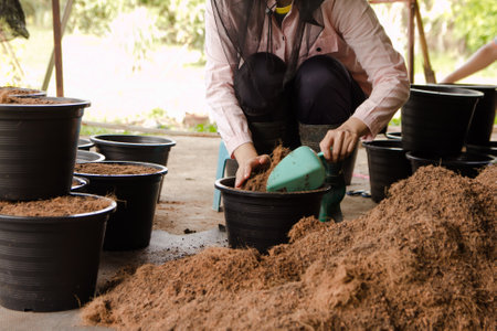 People gardening. Man planting gardens vegetables, Soil preparation agriculture gardener hobby plants at home and outdoor. plants in pots working. farmの写真素材