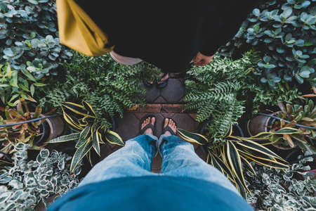 Couple in black shirt and blue jeans standing on the floor with tree pot of houseplants in the...