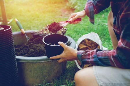 People gardening. Man planting gardens vegetables, Soil preparation agriculture gardener hobby...