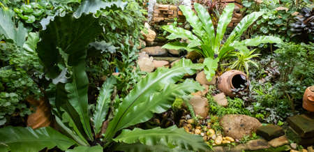 Beautiful flower and foliage garden arrangement decorated with fountains and stones.