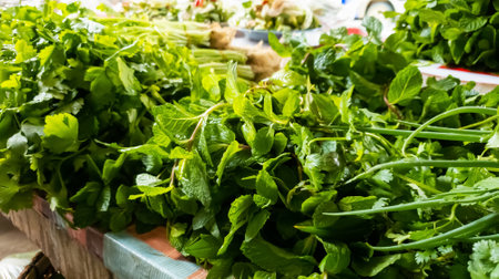 The leaves are sold on the table at the fresh market.の写真素材