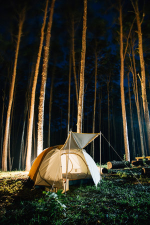 Resting peacefully in a tent at night, surrounded by pine forest trees in Chiang Mai, Thailand, enjoying solitude and relaxation on a mattress outdoors in winter.の写真素材