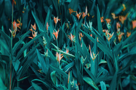 Bird of paradise tree of dark blue and sea green shades symbolizing regeneration balance and renewal in 2026 blending nature design, Trends Color texture background.の写真素材