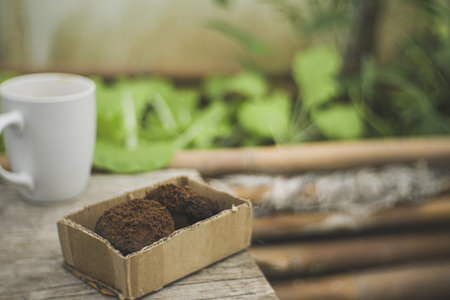 Concept Zero Waste Spent coffee grounds for use as organic fertiliser. The close up of recycled coffee waste in cardboard box with mug, leafy greens blur in the sustainable urban garden background.の写真素材